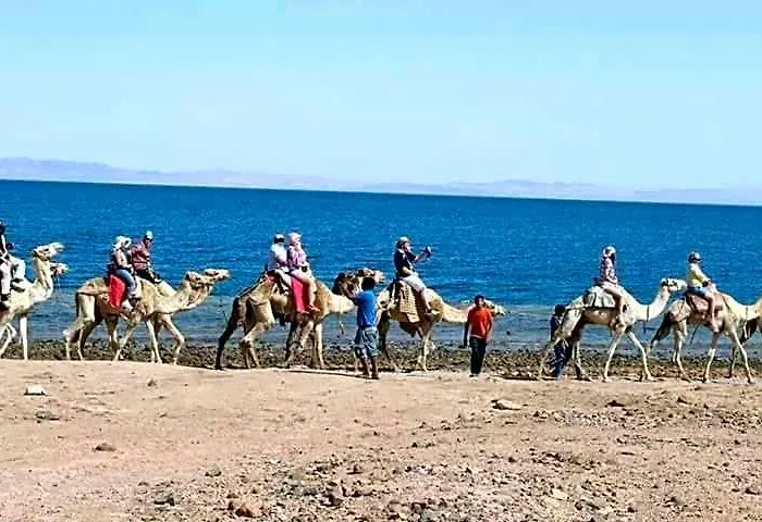 Отель Sea Soul 3*